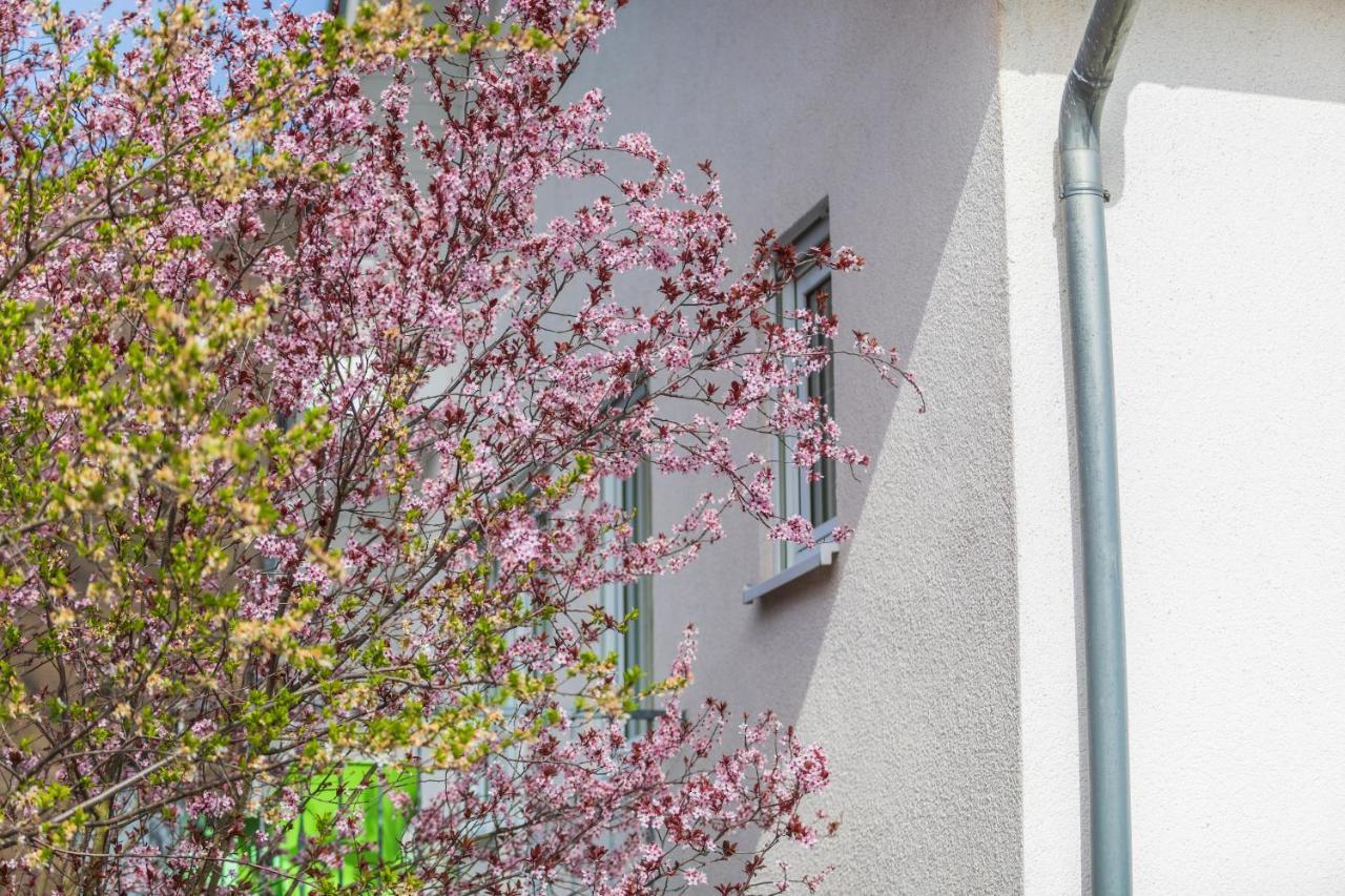 Haus Flora - Ferienwohnungen Кохем Екстериор снимка